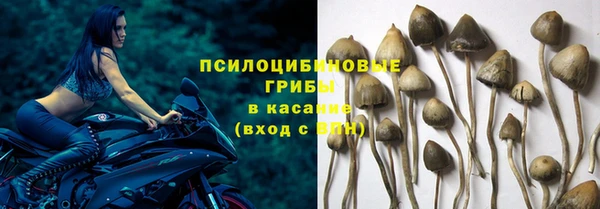 скорость Белокуриха