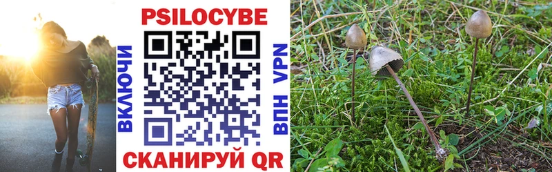 где продают наркотики  Топки  Галлюциногенные грибы мухоморы 